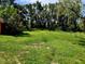 Expansive green lawn surrounded by mature trees, offering a serene and private outdoor space at 7006 41St E Ave, Bradenton, FL 34208