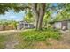 Backyard with mature tree, lawn, and detached bar area, offering a serene outdoor setting at 114 E Emily St, Tampa, FL 33603