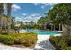 Inviting community pool area featuring lush landscaping, shaded seating, and clear blue water at 11966 Climbing Fern Ave, Riverview, FL 33579