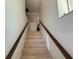 A carpeted staircase featuring wood handrails and a decorative vase, leading to the upper level at 14633 Sassandra Dr, Odessa, FL 33556