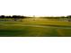 A vibrant, expansive green golf course under a bright sunny sky in Tampa Bay at 2312 Heron Cir, Clearwater, FL 33762
