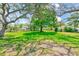 View of the expansive backyard with mature trees and landscaping at 2581 Forest Run Ct, Clearwater, FL 33761