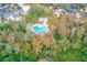 Aerial view of a private community pool area surrounded by lush trees and foliage at 2581 Forest Run Ct, Clearwater, FL 33761