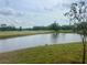 Scenic pond view, surrounded by lush greenery and trees, creating a tranquil and picturesque setting at 3629 Indigo Pond Dr # 3629, Palm Harbor, FL 34685