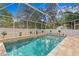 Stunning in-ground pool with a modern design, surrounded by a screened enclosure and manicured landscaping at 4310 W Sevilla St, Tampa, FL 33629