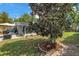 Private backyard with well-maintained lawn, mature trees, and outdoor seating at 9044 Lynwood Dr, Seminole, FL 33772