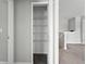 Walk-in closet with wire shelving for organized storage at 14050 Arbor Pines Dr, Riverview, FL 33579