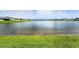 Scenic view of the community pond with waterfront living and lush grass at 14050 Arbor Pines Dr, Riverview, FL 33579