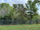 View of the backyard landscaping showcasing the lush trees and green fence at 18267 Bridle Club Dr, Tampa, FL 33647