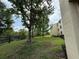 Backyard area exhibiting lush greenery and a dark green perimeter fence at 18267 Bridle Club Dr, Tampa, FL 33647