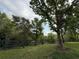 Backyard view displaying lush greenery, trees, and a dark green perimeter fence at 18267 Bridle Club Dr, Tampa, FL 33647