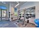 Community gym with weightlifting machines and mirrors in a well-lit space at 18636 Sailors Delight Pass, Land O Lakes, FL 34638