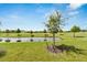 A serene view of a pond in backyard, enhanced by the mature trees and clear blue sky at 1967 Hovenweep Rd, Wesley Chapel, FL 33543