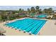 A community pool with lap lanes, lounge chairs, umbrellas, waterpark and mature landscaping at 22287 Storybook Cabin Way, Land O Lakes, FL 34637