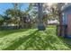 Expansive backyard featuring a large lawn and mature trees, partially enclosed by a wooden fence at 2418 N Links Ave, Sarasota, FL 34234