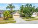 Inviting front exterior showcasing well-maintained landscaping, mature palms and a spacious driveway at 29013 Old Marsh End, Wesley Chapel, FL 33543