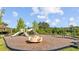 This fun neighborhood playground includes swings, slides, and a merry-go-round for Gathering fun at 33645 Elm Hill Br, Wesley Chapel, FL 33545