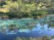 Crystal clear river view with lush greenery and beautiful reflections of the blue sky at 7169 Spruce Dr, Weeki Wachee, FL 34607