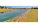 A tranquil pond with a clear water view is surrounded by lush green grass at 7215 Wash Island Dr, Sun City Center, FL 33573