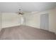 Large bedroom with neutral carpet, ceiling fan, and multiple doorways at 11519 Glenmont Dr, Tampa, FL 33635