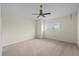 Bedroom with carpet, a window with blinds, and a ceiling fan at 11519 Glenmont Dr, Tampa, FL 33635