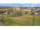 Large community green space featuring a mature tree, surrounded by well-maintained homes at 19309 Prairie Tree Pl, Tampa, FL 33647