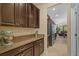 Walk-in pantry with dark wood cabinets, granite countertops, and stainless steel appliances at 19309 Prairie Tree Pl, Tampa, FL 33647