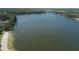 Beautiful lake view showcasing clear water, sandy beach, and a treelined shore at 22304 Stillwood Dr, Land O Lakes, FL 34639