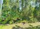 Serene backyard featuring a green lawn, mature trees, and lush foliage, providing privacy at 2874 Bayshore Trails Dr, Tampa, FL 33611