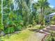 Lush backyard with mature trees and tropical foliage, creating a private oasis with brick stairs at 2874 Bayshore Trails Dr, Tampa, FL 33611