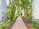 A charming brick walkway lined with lush tropical greenery at 2874 Bayshore Trails Dr, Tampa, FL 33611