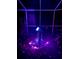 Backyard fountain with colorful rocks and lights at 3109 Tarpon Woods Blvd, Palm Harbor, FL 34685