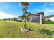 Spacious backyard with a young tree, leading to a screened lanai and a view of neighboring homes at 6426 Bradford Woods Dr, Zephyrhills, FL 33542