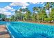 Long lap pool in community with lanes, surrounded by palm trees, lounge chairs, and a blue sky backdrop at 7051 Derwent Glen Cir, Land O Lakes, FL 34637