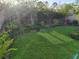 Lush backyard featuring a manicured lawn with mature trees and garden beds; ideal for outdoor enjoyment and relaxation at 7737 Sail Clover Ln, Zephyrhills, FL 33540