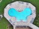 Aerial view of a uniquely shaped pool with lounge chairs and nearby palm trees at 7737 Sail Clover Ln, Zephyrhills, FL 33540
