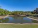 Scenic view of a wooden bridge across a neighborhood pond at 11465 June Briar Loop, San Antonio, FL 33576
