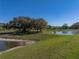Picturesque pond with lush green grass and mature trees, offering a serene outdoor environment at 11465 June Briar Loop, San Antonio, FL 33576