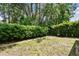 Backyard featuring a grassy area, mature trees, and privacy hedging at 1187 Mistwood Dr, Tarpon Springs, FL 34688