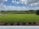 Sprawling green backyard, perfect for outdoor activities and relaxation with partial view of the water at 18051 Foxtail Loop, Venice, FL 34293