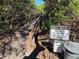 Community boardwalk surrounded by trees with signage regarding dock hours at 2910 Lichen Ln # B, Clearwater, FL 33760