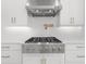 Close-up of the kitchen's professional gas range and stainless steel exhaust at 33736 Ocean Spray Ln, Wesley Chapel, FL 33543