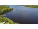 Expansive lake view showcasing the waterfront homes, and natural surroundings at 3948 Tarpon Pointe Cir, Palm Harbor, FL 34684