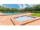 Community pool and hot tub surrounded by brick pavers and lush landscaping at 4201 La Palma Ct, Tampa, FL 33611
