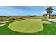 Practice your short game on this putting green overlooking the inter coastal waterway at 755 Collany Rd # 504, Tierra Verde, FL 33715