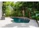 Backyard pool surrounded by lush tropical landscaping at 758 Claudia Ln, Palm Harbor, FL 34683