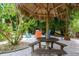 Outdoor backyard tiki hut with a picnic table and mature landscaping is perfect for relaxing at 758 Claudia Ln, Palm Harbor, FL 34683