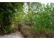 Backyard view of the waterway is highlighted by mature trees and tropical landscaping at 758 Claudia Ln, Palm Harbor, FL 34683