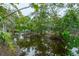 Backyard view of the waterway is highlighted by mature trees and tropical landscaping at 758 Claudia Ln, Palm Harbor, FL 34683