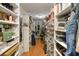 Extensive walk-in closet with organized shelving and ample storage space for clothing and accessories at 10404 Crestfield Dr, Riverview, FL 33569